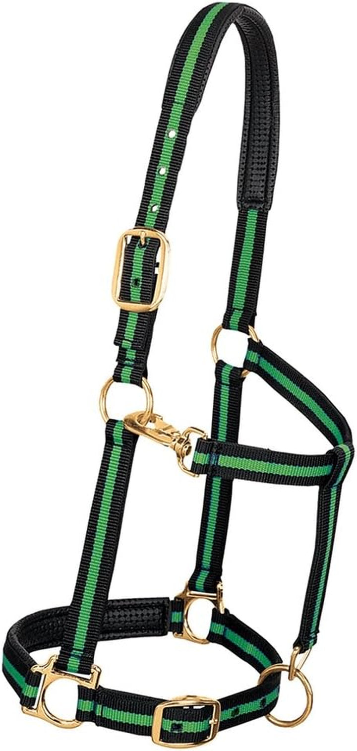 Weaver Leather Padded Adjustable Nylon Horse Halter