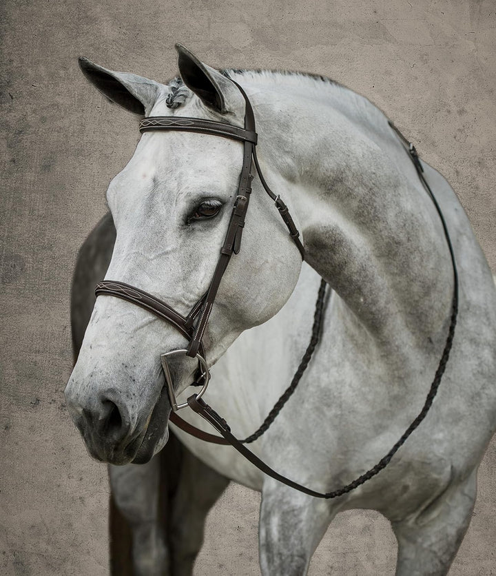 Suffolk Hunter Bridle, Brown