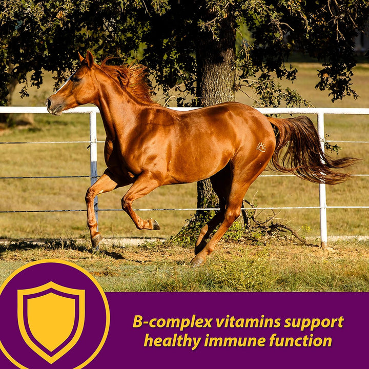 Horse Health Red Cell Pellets, Vitamin-Iron-Mineral Supplement for Horses, Helps Fill Important Nutritional Gaps in Horse'S Diet, 4 Lbs., 64-Day Supply