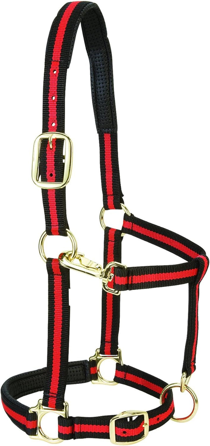 Weaver Leather Padded Adjustable Nylon Horse Halter