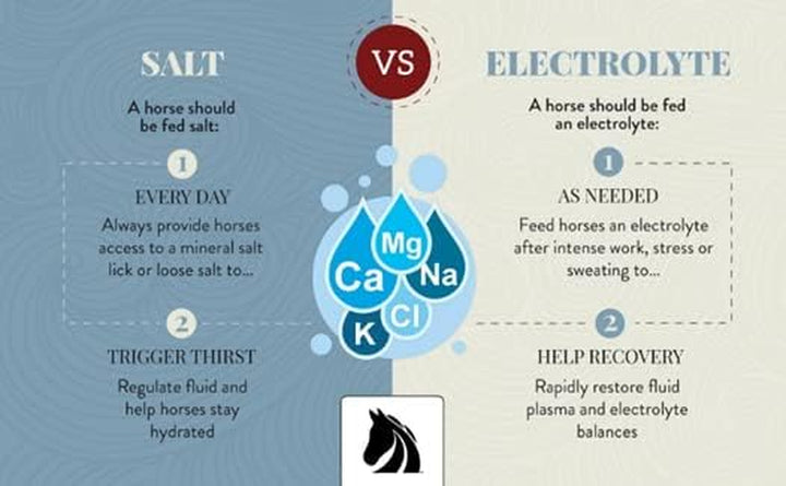 REDMOND Equine Electrolyte Paste | Electrolytes Supplement for Horses