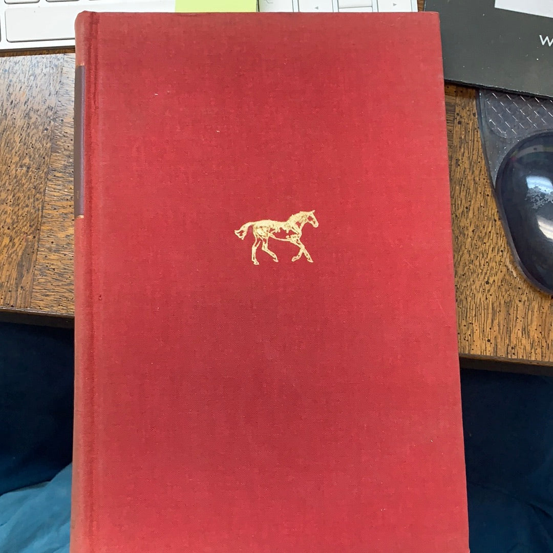 Training Hunters, Jumpers and Hacks by Harry Dwight Chamberlin