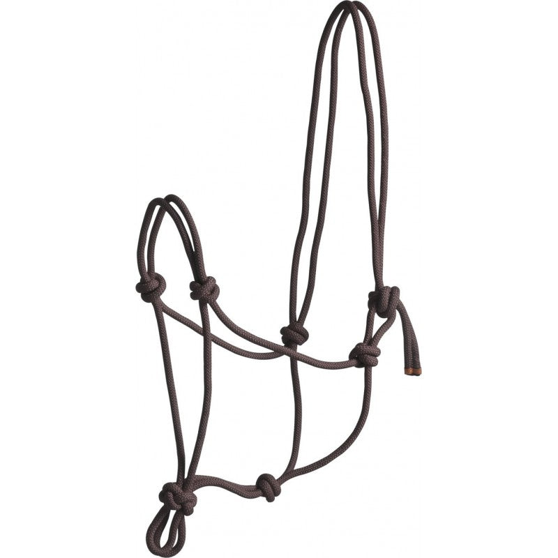 Norton First Rope Headcollar
