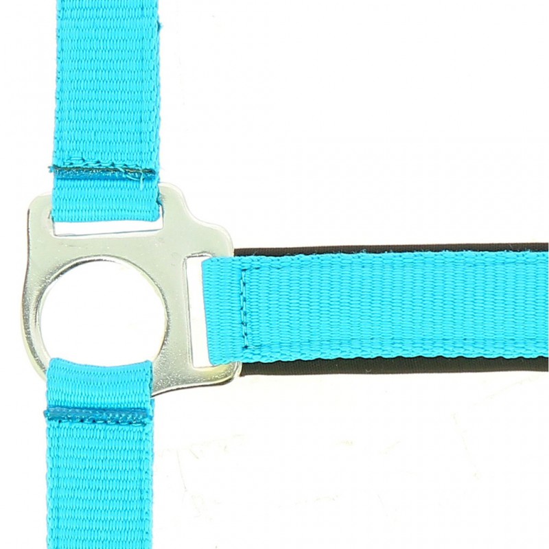 Norton Fluo Lined Headcollar