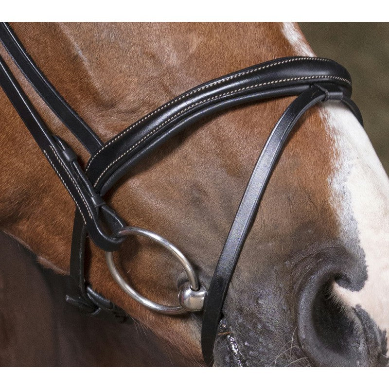 Norton Pro Combinée Bridle