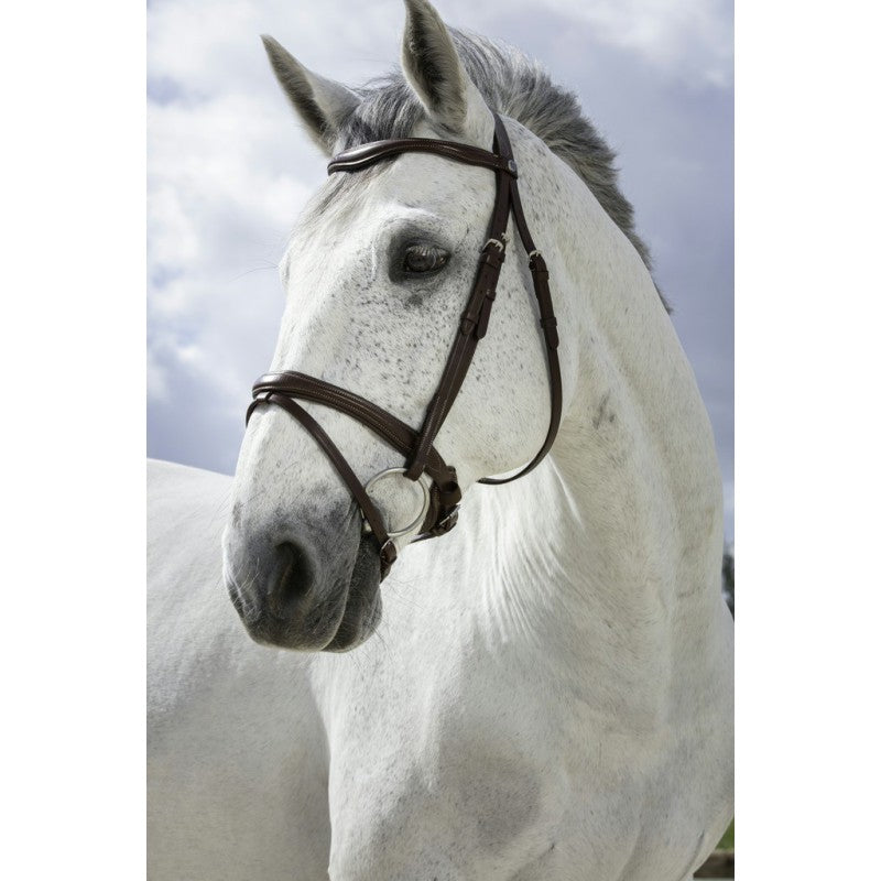 Norton Pro Combinée Bridle