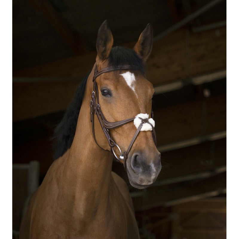 Norton Pro Crossed Noseband Bridle