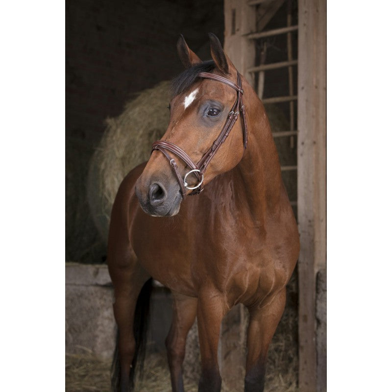 Norton Pro Fin Bridle