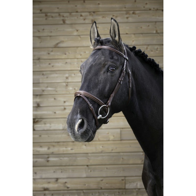 Norton Pro Fin Bridle