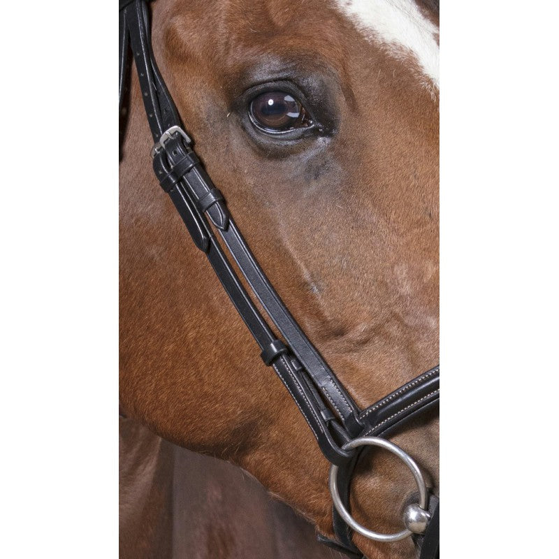Norton Pro Fin Bridle