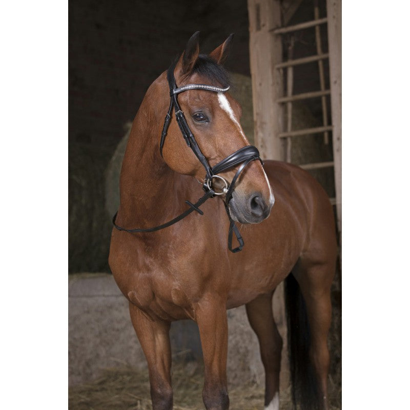 Norton Pro Grip Reins