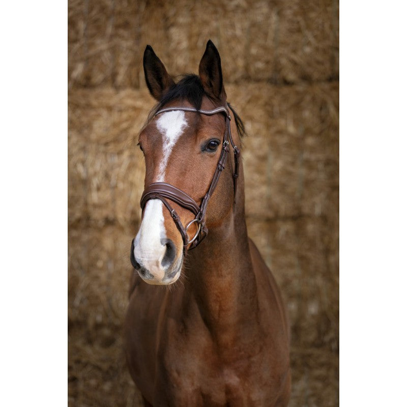 Norton Pro Miss Bridle