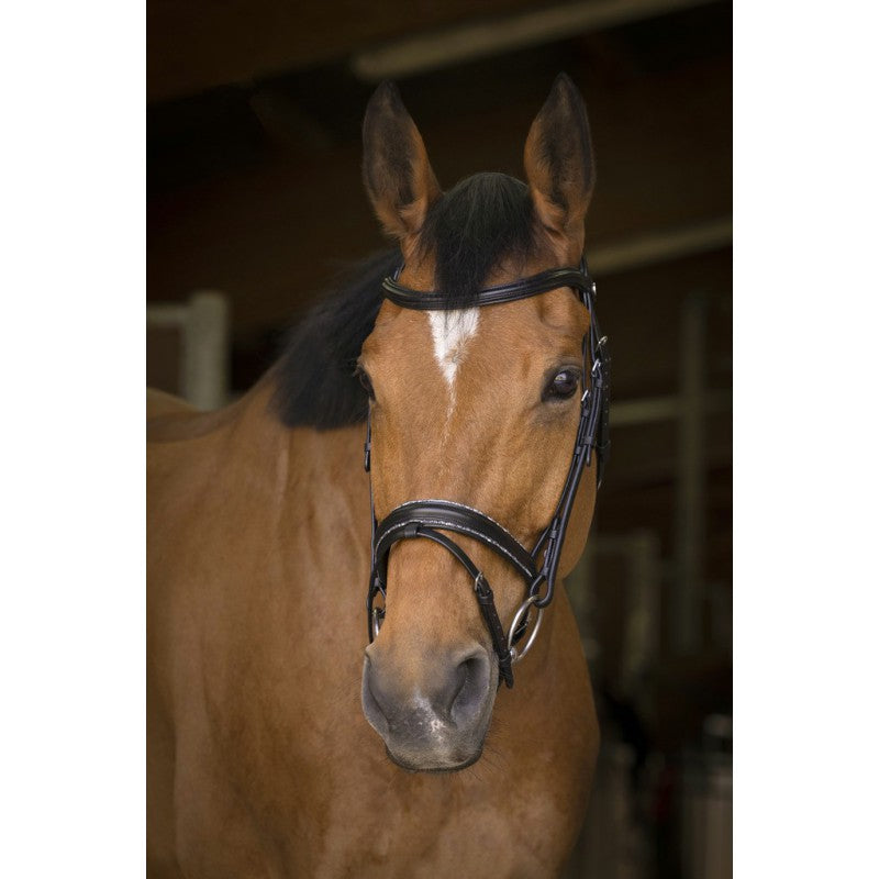 Norton Pro Rock Bridle