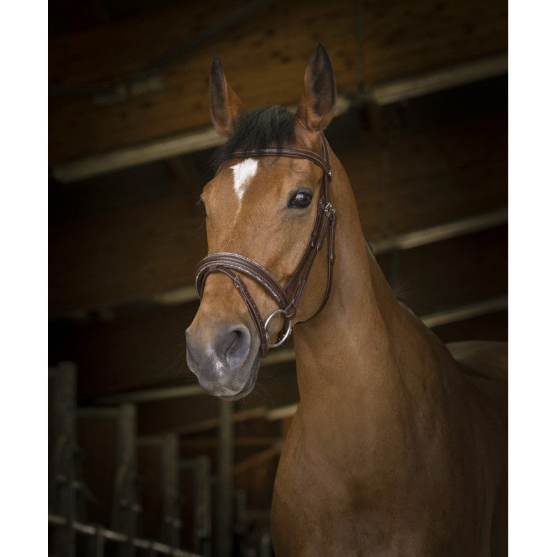 Norton Pro Rock Bridle
