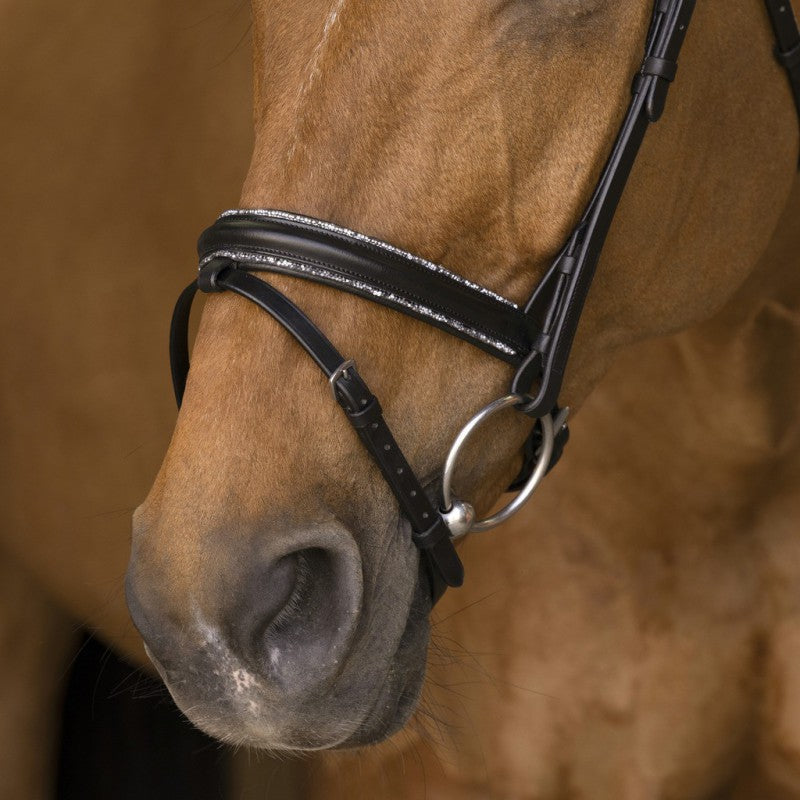 Norton Pro Rock Bridle