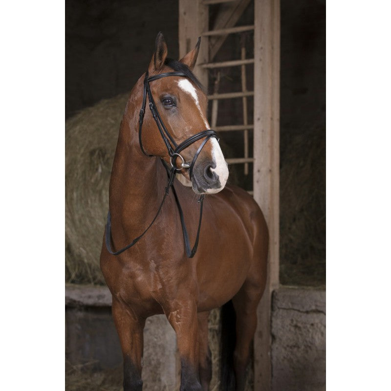 Norton Pro Rubber Reins 13mm