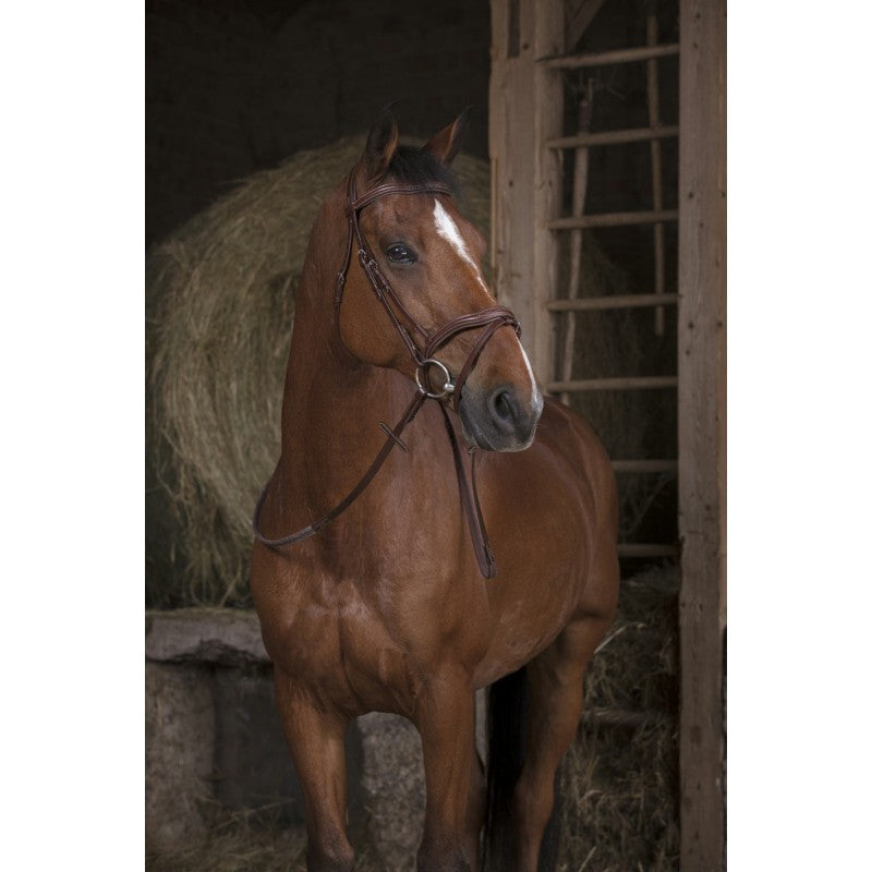 Norton Pro Rubber Reins 13mm