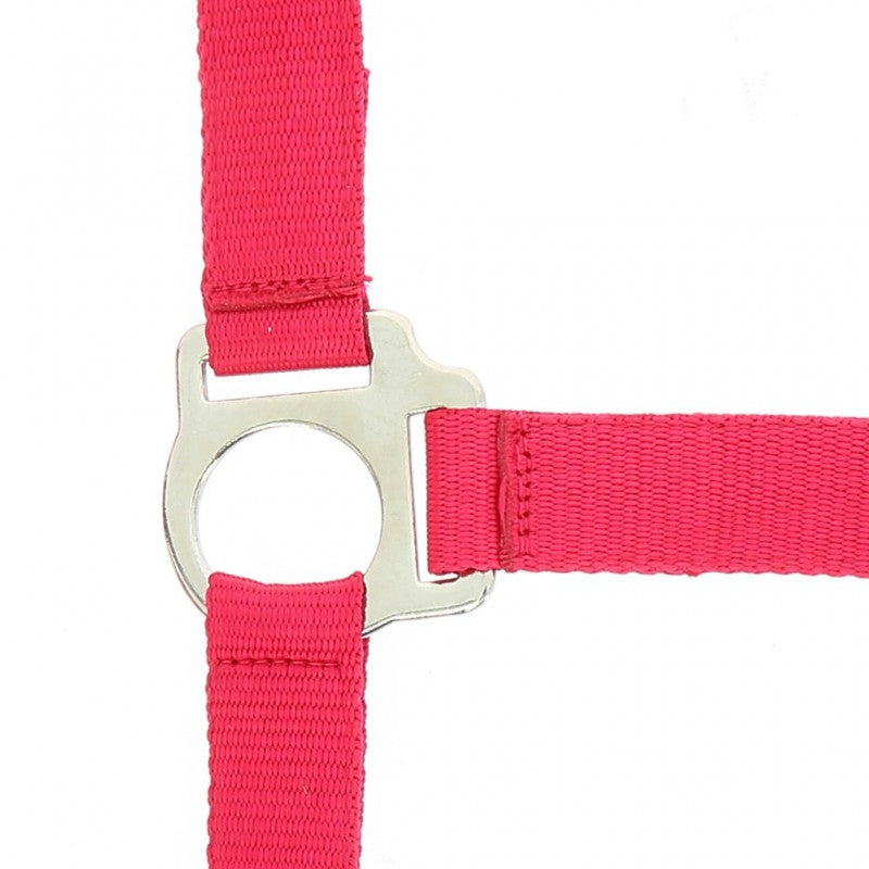 Riding World “Club”  Headcollar + Lead Rope
