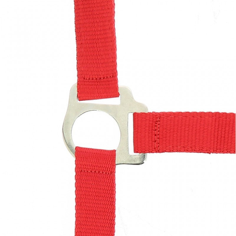 Riding World “Club”  Headcollar + Lead Rope