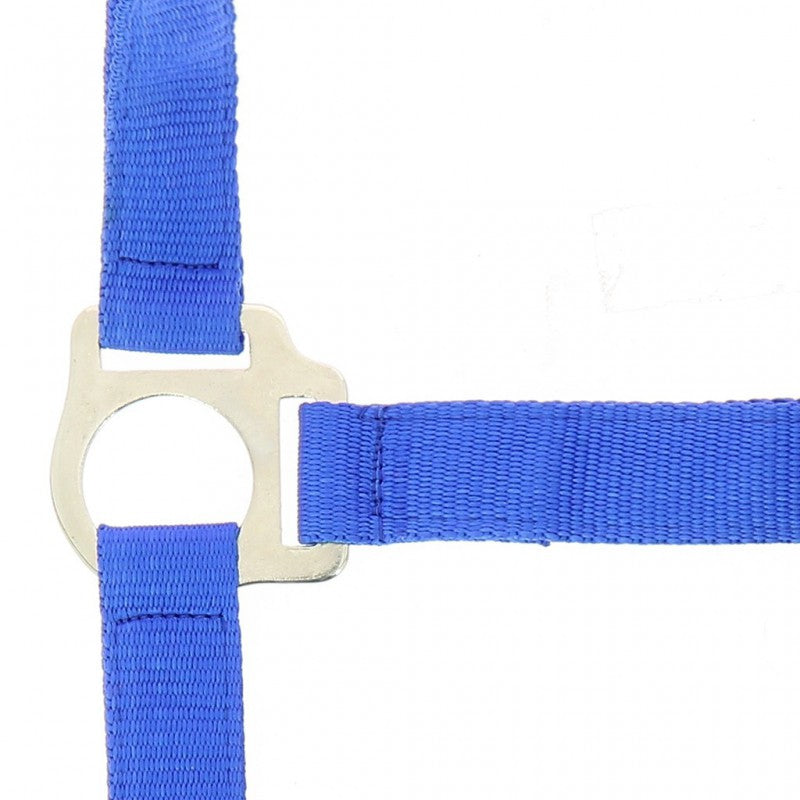 Riding World “Club”  Headcollar + Lead Rope
