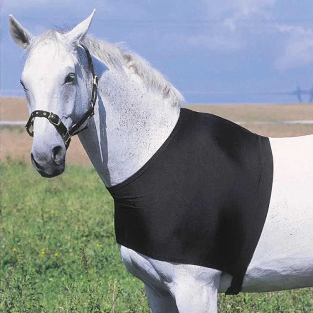 Equitheme Shoulder Protection